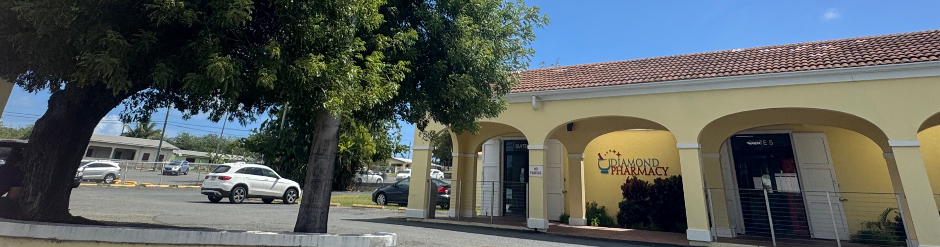 Diamond Pharmacy VI
